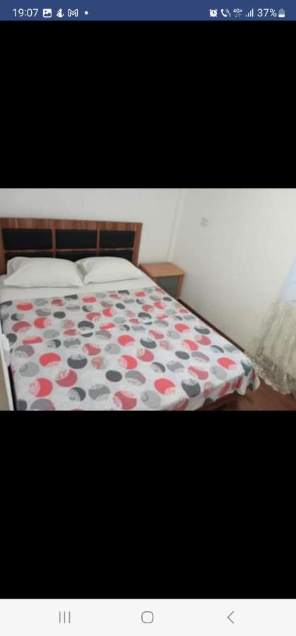 Casa Davison Apartman Zsilvásárhely Kültér fotó