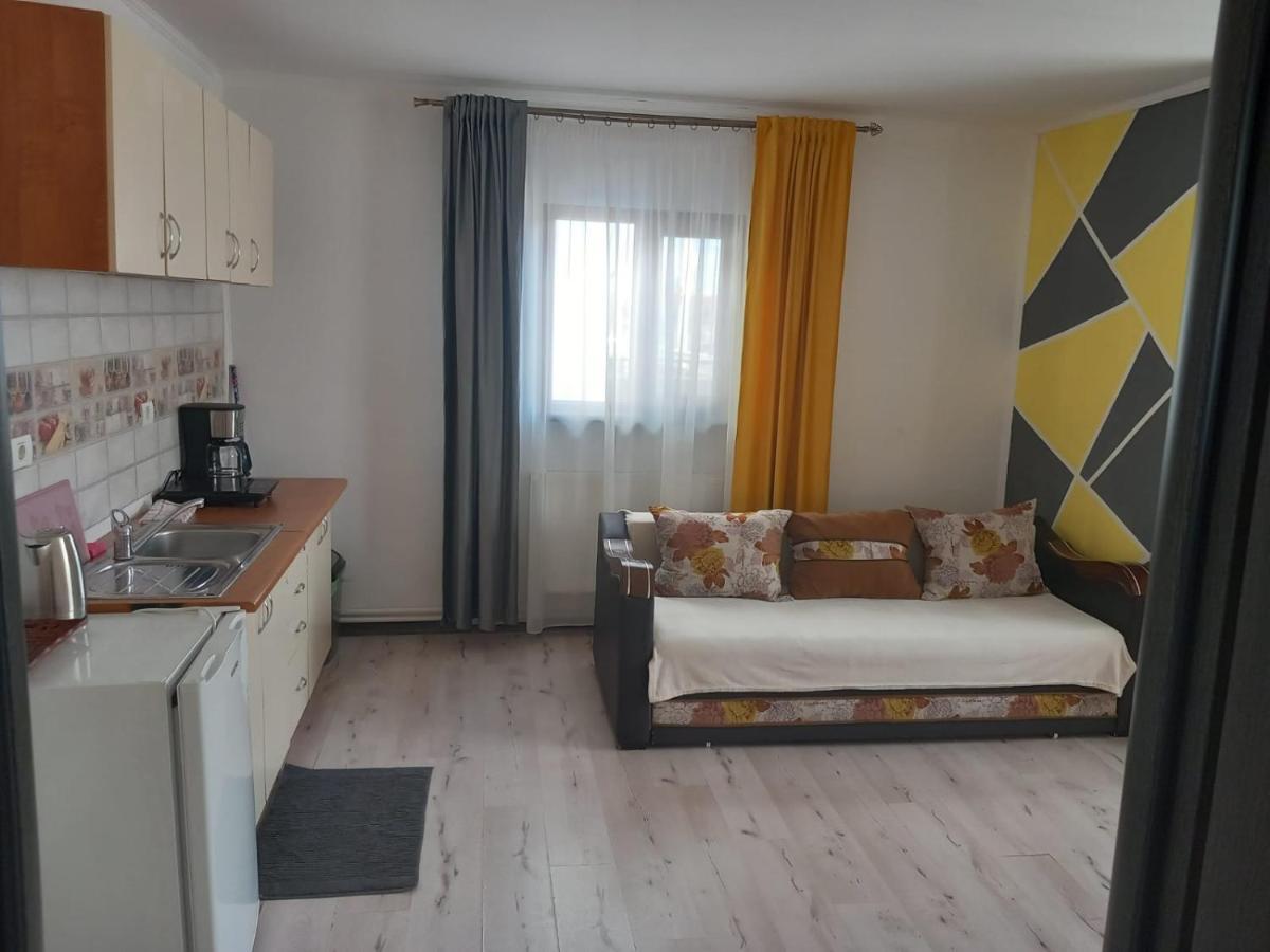 Casa Davison Apartman Zsilvásárhely Kültér fotó